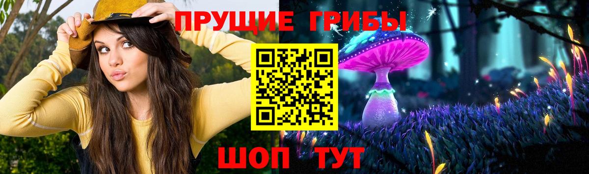Псилоцибиновые грибы Psilocybe  Вход с VPN  Киселёвск 
